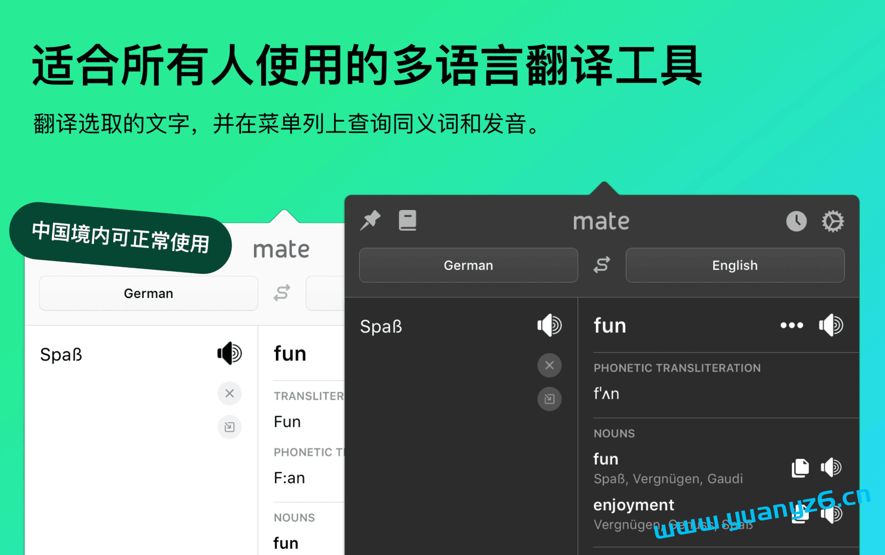 Mate Translate for Mac v8.1.3 破解版 多国语言即时翻译工具 苹果电脑