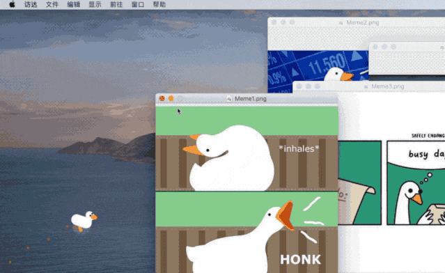 Desktop Goose for Mac v1.22 桌面逗趣鹅 - 非常有意思的小玩具 苹果电脑