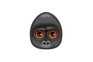 Debookee for Mac v8.1.6 优秀的网络流量分析和抓包工具