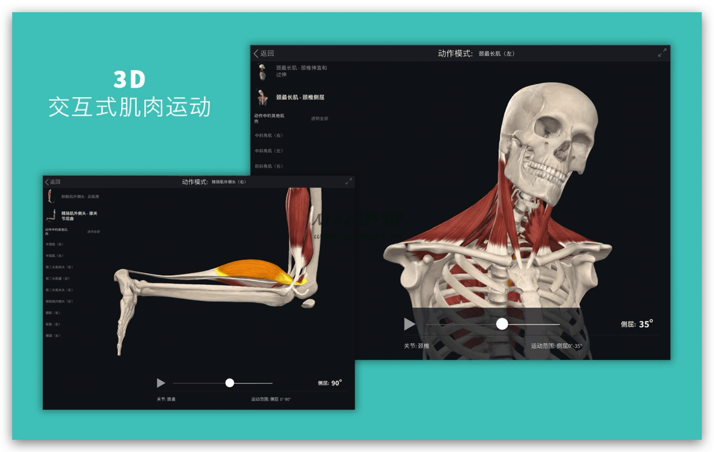 Complete Anatomy 2019 for Mac v4.0.1 破解版 3D医学人体模型 苹果电脑