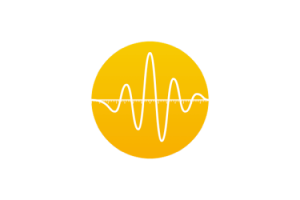 Swinsian for Mac v3.0.1 Mac高级音乐播放器