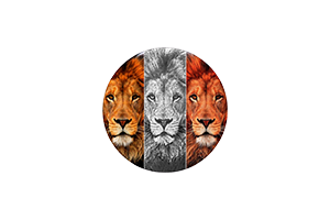 Sketch n Cartoonize for Mac v3.4 中文破解版 图像处理工具