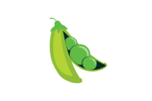 Fresh for Mac v4.0.7 破解版 最近文件查看器