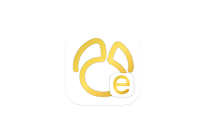 Navicat Premium Essentials for Mac v16.3.5 中文破解版 数据库管理软件精简版