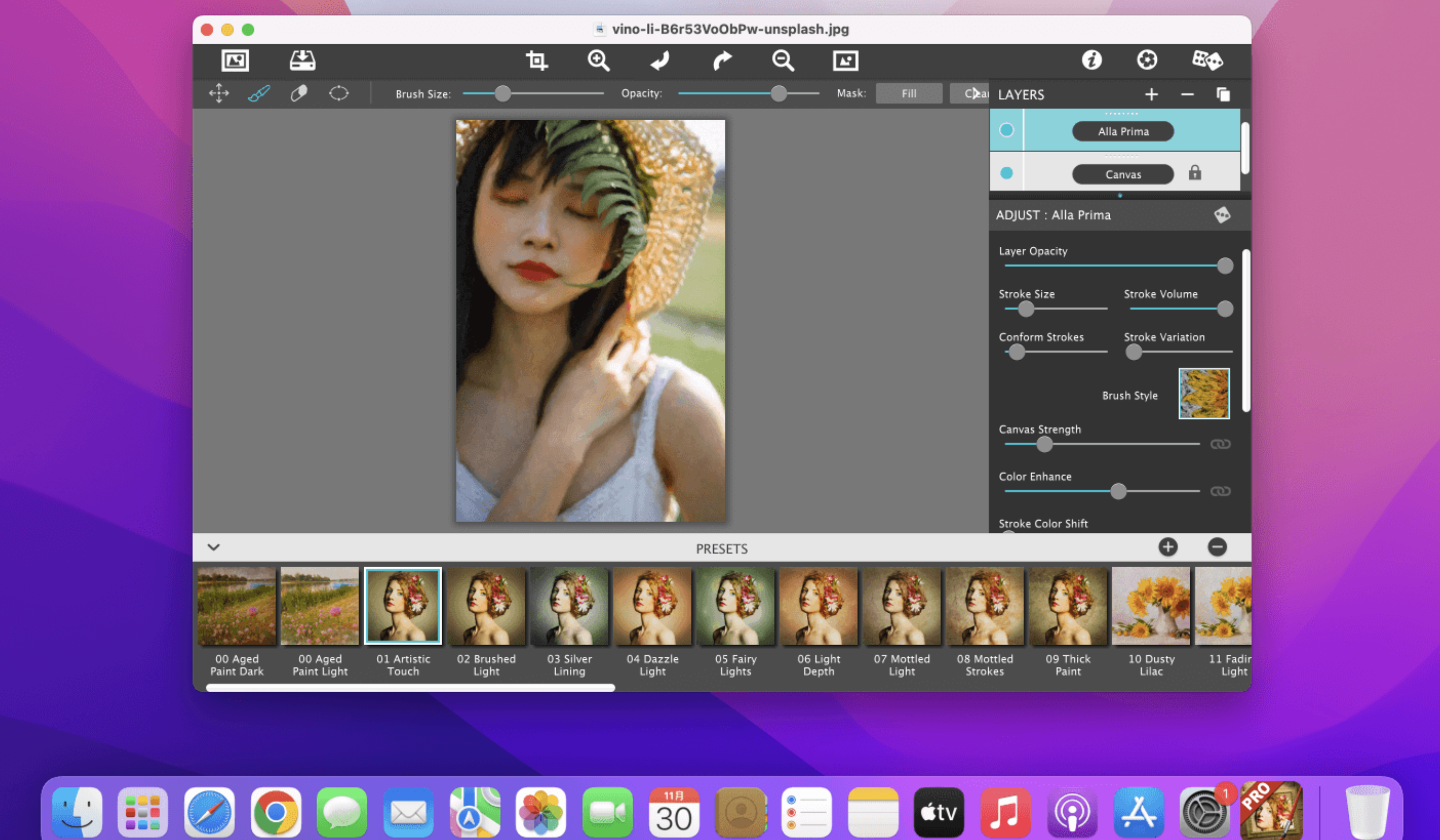 JixiPix Impresso Pro for Mac v1.8.26 破解版 油画照片生成工具 苹果电脑