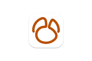 Navicat for MongoDB for Mac v16.3.4 MongoDB 数据库管理工具
