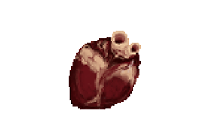 肉体锻造 for Mac Wrought Flesh v1.0 英文原生版