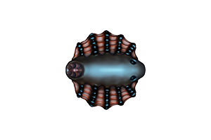 Sipho for Mac v1.2.3 中文原生版