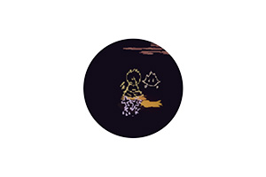 心愿之死 for Mac Death of a Wish v1.1.4 英文原生版