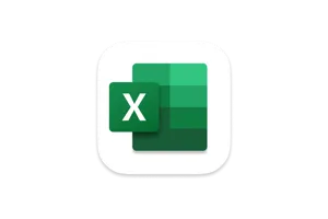 Microsoft Excel 2024 LTSC for Mac v16.96 表格处理软件