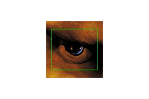 面容采集者 Faceminer for Mac v1.5 英文原生版