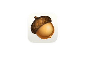Acorn for Mac v8.3.2 轻量级图片编辑工具