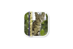 SizeMyPics for Mac v1.8.1 图片转换工具