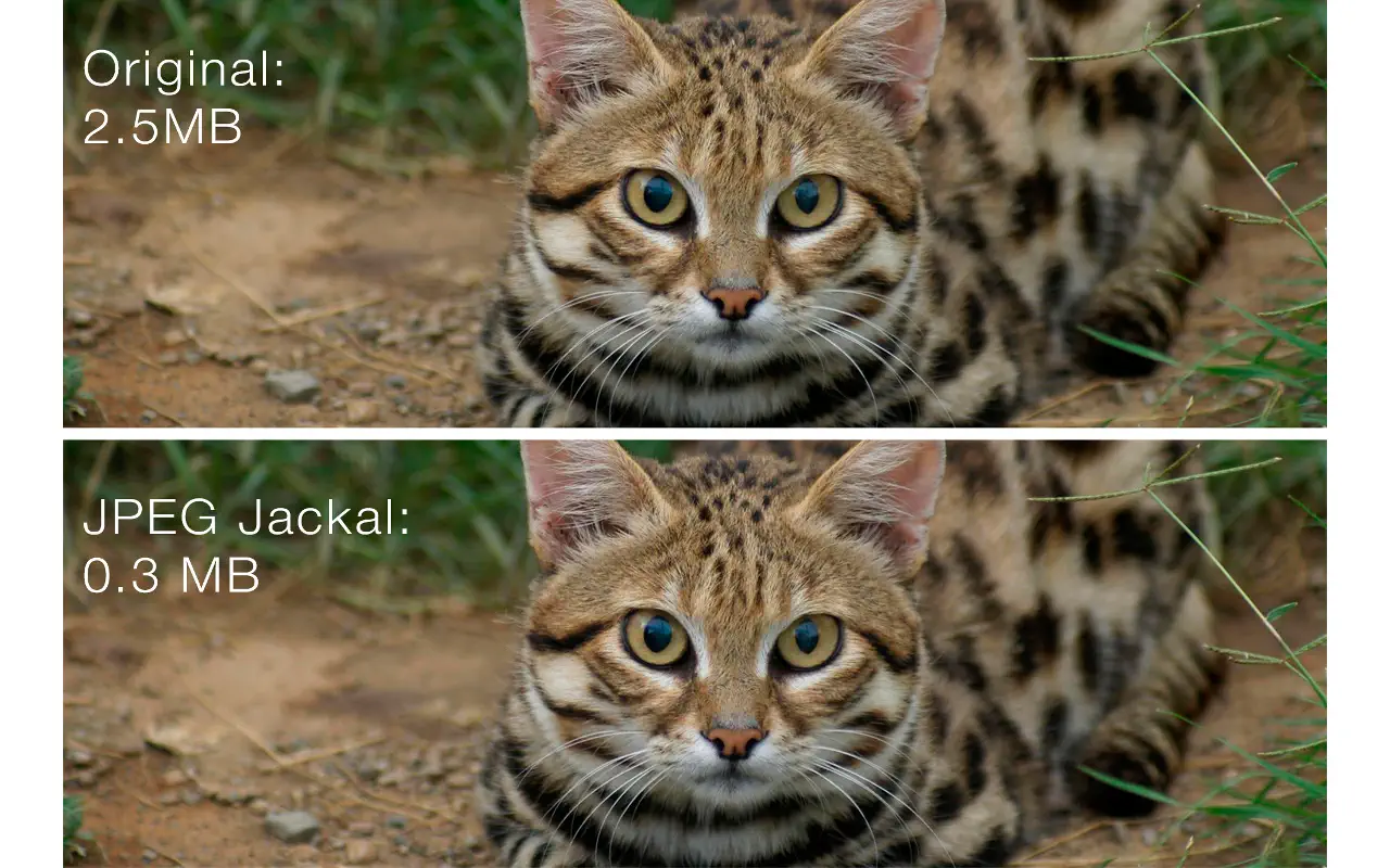 JPEG Jackal for Mac v3.0 JPEG图片压缩工具-Mac宇宙