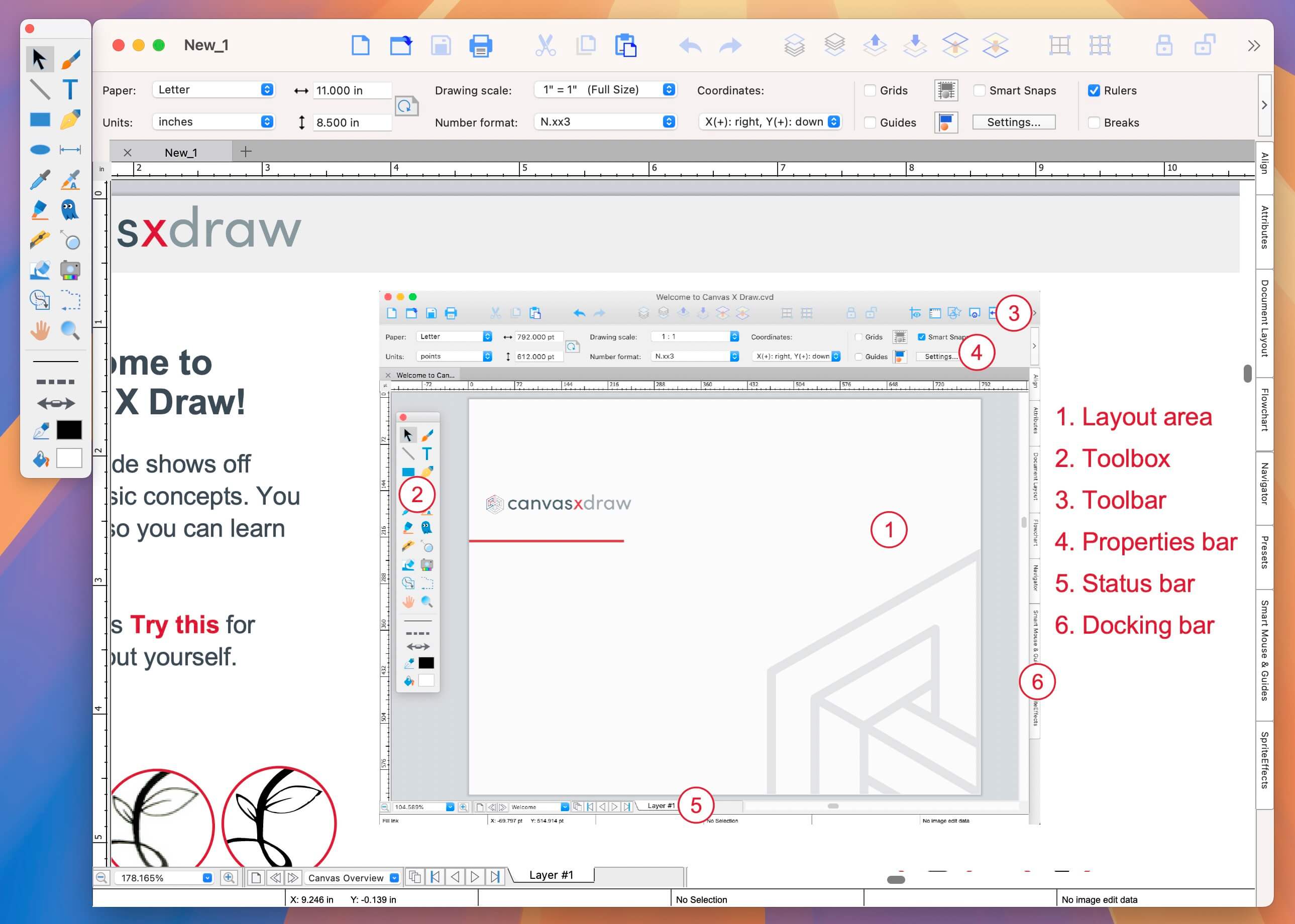 Canvas X Draw for Mac v26.0.1 矢量插图设计 - Mac宇宙