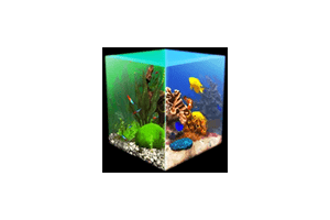 玻璃背后：水族馆模拟器 Behind Glass: Aquarium Simulator for Mac v1.5 中文原生版